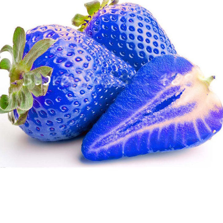 500PCS Blue Strawberry Seeds Heirloom Super Strawberry Garden Seeds Garden Climbing Plant