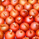 Egrow 300 Pcs/Pack Giant Onion Seeds Vegetable Seed Kitchen Food Seasoner Potted Plants