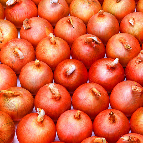 Egrow 300 Pcs/Pack Giant Onion Seeds Vegetable Seed Kitchen Food Seasoner Potted Plants