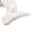 Wall Hanging Resin Ram Skull Ornament Sheep Head Animal Art Sculpture Decorations
