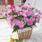 10PCS/ Artificial 9 Heads Korean Small Daisy Flowers Home Furnishing Garden Style Decorations