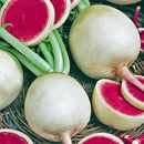 Egrow 100Pcs/Pack Red Radish Seeds Garden Kitchen Vegetable Plants White Radish Seeds