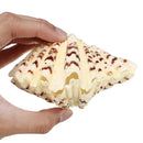 Living Room Ornaments Sea Shell Clam Tridacna Big Conch Natural 10-12CM Fish Tank Decorations