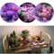 ZANLURE 360 Rotatable Three Head Grow Light Outdoor Multi-functional Lights LED Work Light with Clip Base and Adapter -US Plug