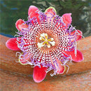 Egrow 50Pcs/Pack Passion Flower Seeds Garden Rare Passiflora Incarnata Fruit Plants Seeds