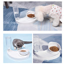 Automatic 2 in 1 Pet Feeder Cat Dog Bowl Waterer Dispenser Puppy Drinking Food Dish