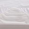 Waterproof Mattress Cover Luxury Terry Cloth Mattress Protector Bed Bug Proof Dust Mattress Cover