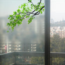 60x58cm Frosted Opaque Glass Window Film Tree Privacy Glass Stickers Home Decor