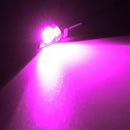 2pcs DC 12V LED License Plate Light Screw Bolt Eagle Eye Lamp For Motorcycle Car Pink