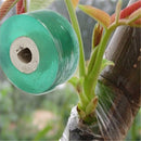 Hot Garden Tools Fruit Tree Grafting Waterproof Tape Household Garden Engraft Branch Graft Tape