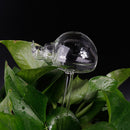 Plants Self Watering Device High Borosilicate Glass Automatic Watering Container