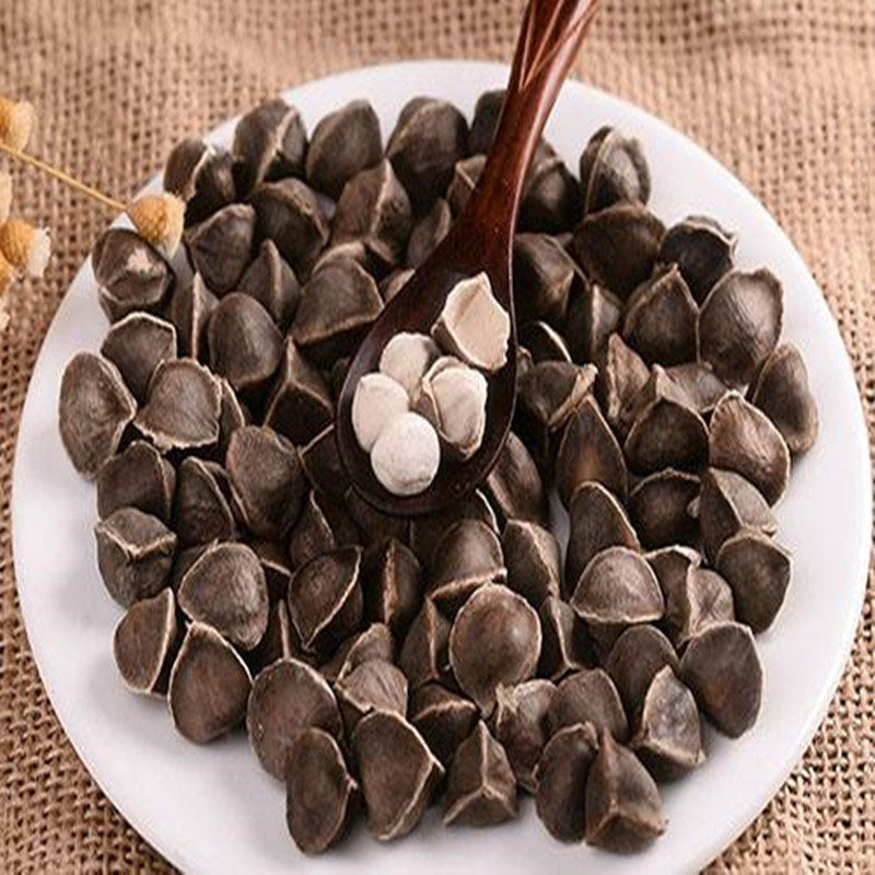 Egrow 10 Pcs/Pack Moringa Seeds Home Garden Plants Seeds Garden Decoration