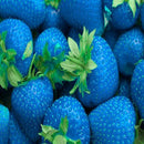 500Pcs Green Strawberry Seeds Fruit Seeds Garden Seeds