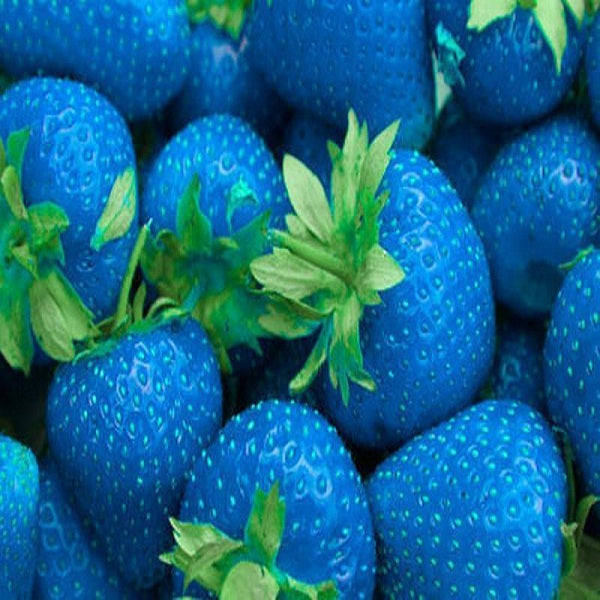 500Pcs Green Strawberry Seeds Fruit Seeds Garden Seeds