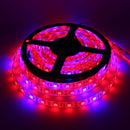 5M 3:1/4:1/5:1 Red:Blue 5050SMD 300LED Waterproof Hydroponic Plant Grow Strip Light DC12V