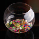 Round Clear Glass Vase Fish Tank Ball Bowl Flower Planter Terrarium Home Decor