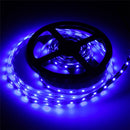 5M 10.8W DC12V LED Strip Light 3528 300 LEDs White/Warm White/Red/Blue With DC female Connector