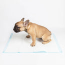 Miajia Pet Diaper Dog Diaper Disposable Thickening Water Absorbing Dog Urinary Paper Pads From Xiaomi Youpin