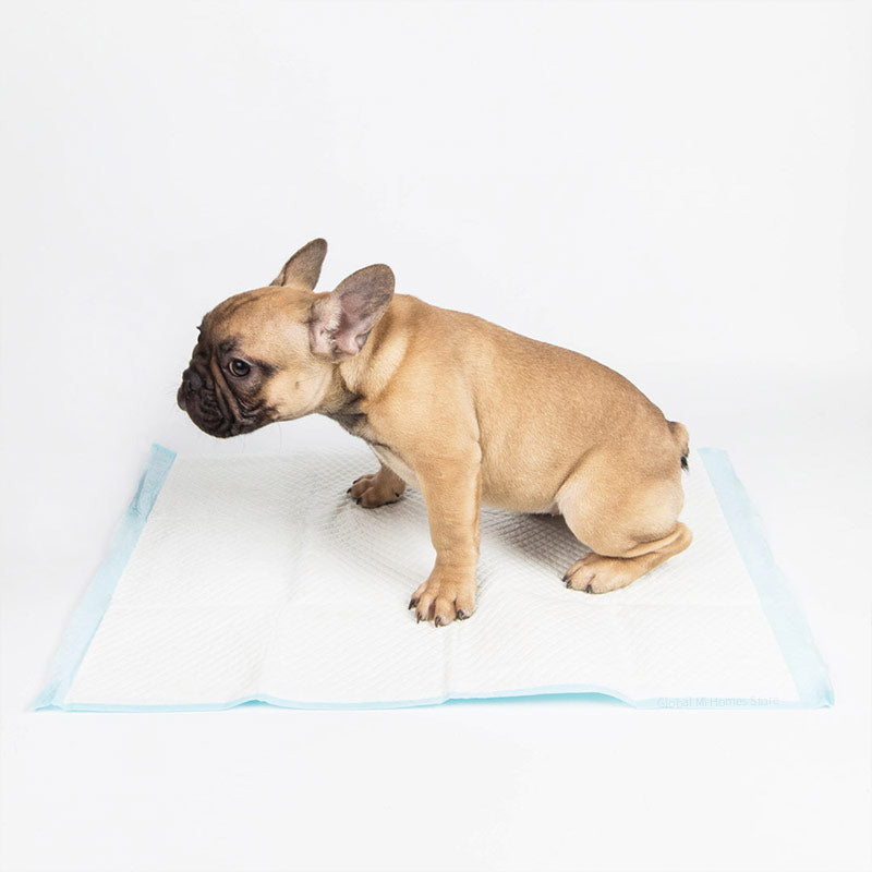 Miajia Pet Diaper Dog Diaper Disposable Thickening Water Absorbing Dog Urinary Paper Pads From Xiaomi Youpin