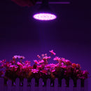 E27 30W SMD2835 LED Grow Light Full Spectrum Plant Lamp Set for Flower Seeds Greenhouse AC85-265V