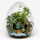 Egg Shaped DIY Moss Micro Landscape Glass Bottle Succulent Plants Vase Home Decoration