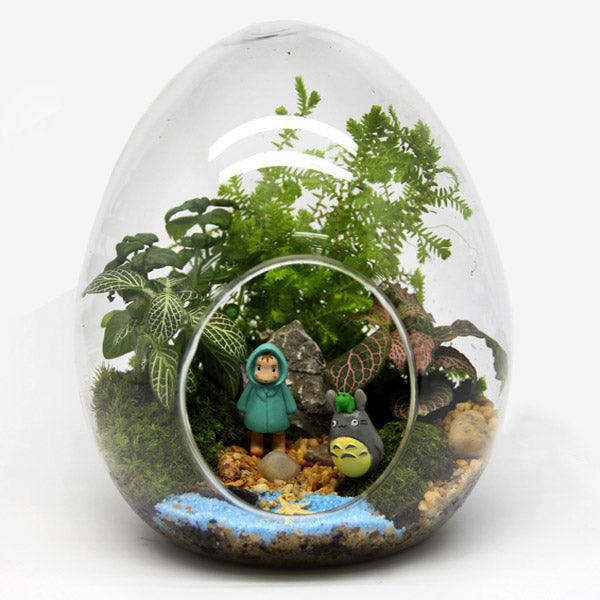 Egg Shaped DIY Moss Micro Landscape Glass Bottle Succulent Plants Vase Home Decoration