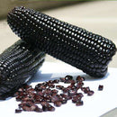 Egrow 30Pcs/Pack Black Waxy Corn Seeds Gardening Farm Vegetable Maize Black Sticky Corn Seeds