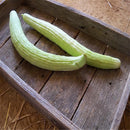 Egrow 50 Pcs/Bag Giant Long Green Cucumber Seeds Crisp Sweet Fruit Organic Vegetable Seed