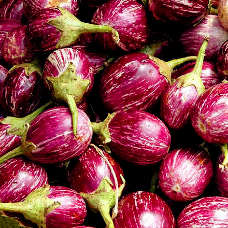 Egrow 200PCS/Pack Eggplant Seeds Red Eggplant Bonsai Outdoor Vegetable Plant For Home Garden