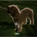Jodan&Judy Bone Label Light Pet Tag Light Bulb Outdoor Dog Floodlight Missing Warning Light Pet Supplies From Xiaomi Youpin