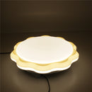 24W LED Dimmable Lamp Ceiling Down Light Fixture Surface Living Room Bedroom