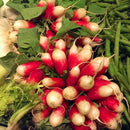 Egrow 100Pcs/Bag Sausage Radish Seeds Juicy And Nutritious Early Spring Radish Delicious Vegetable