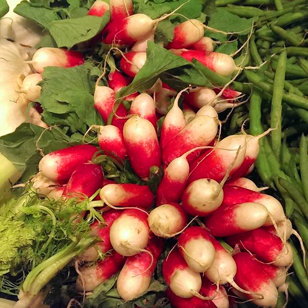 Egrow 100Pcs/Bag Sausage Radish Seeds Juicy And Nutritious Early Spring Radish Delicious Vegetable