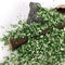 DIY Handmade Building Model Material Grass Tree Sponge Powder Green Mixture Pollen