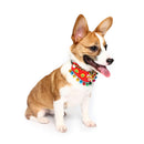 Yani PC1 Pet Ethnic Style Bell Collar Colorful Cute Pet Dog Fashion Collar Cotton Dog Grooming