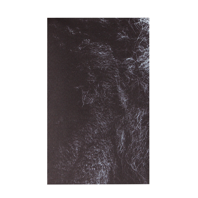 5Pcs No Frame Canvas Prints Lion Animal Paintings Home Wall Hanging Art Decorations