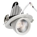 5W 7W 12W 15W 20W 30W LED COB Dimmable Ceiling Lamp Dowm Light Adjustable Spotlight Flush Mount Fixture
