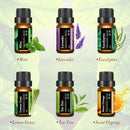6Pcs Skymore Aromatherapy Essential Oil Set Lavender