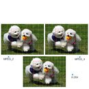 Outdoor Wifi Surveillance Camera H.264 Video Recording Infrared Night Vision IP66 Two-Way Voice Alarm Camera