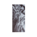 5Pcs No Frame Canvas Prints Lion Animal Paintings Home Wall Hanging Art Decorations