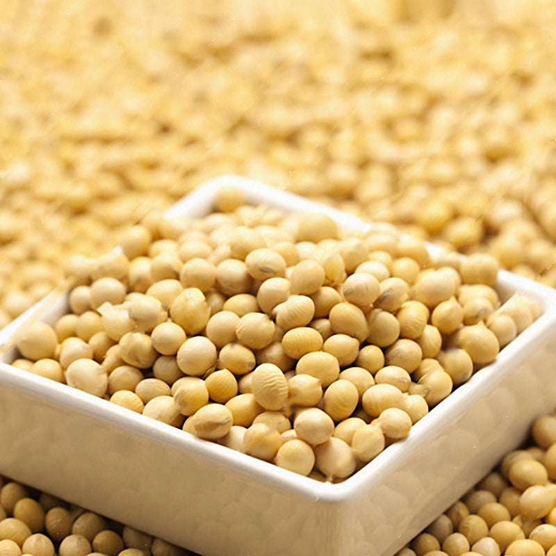 Egrow 20pcs/Bag Soy Bean Seeds Green Vegetable Seeds Soy Bean Edamame Seeds Soybean Bonsai Plants