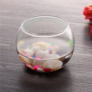 Round Clear Glass Vase Fish Tank Ball Bowl Flower Planter Terrarium Home Decor