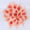 Natural Real Touch Flower Bouquet Calla Lily Wedding Home Fake Flower For  Home Party Decorations