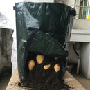 Graden 50L Large Capacity Potato Grow Planter Vegetable Bags Taro Sweet Tomato Pouch With Window