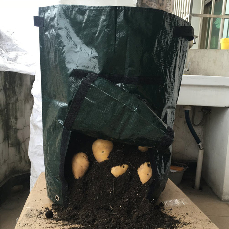 Graden 50L Large Capacity Potato Grow Planter Vegetable Bags Taro Sweet Tomato Pouch With Window