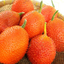 Egrow 10 Pcs/Pack Bitter Melon Seeds Fruit Bonsai Momordica Cochinchinensis Bonsai Spreng Cochinchin Gourd Non-GMO Fruit Plant