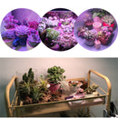 ZANLURE 15W 15LED 360 Rotatable Three Head Grow Light Outdoor Multi-functional Lights LED Work Light with Clip Base-US Plug and Switch
