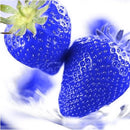500PCS Blue Strawberry Seeds Heirloom Super Strawberry Garden Seeds Garden Climbing Plant