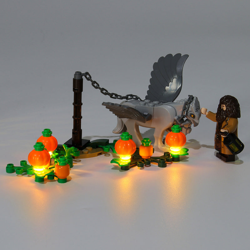 LED Light Lighting Kit ONLY For LEGO 75947 Hagrids Hut Lighting Set USB Powered