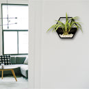 Handmade Acrylic Chlorophytum Flower Pot Scindapsus Hexagon Hanging Wall Decoration